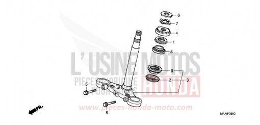 PIANTONE STERZO CBF1000A9 di 2009